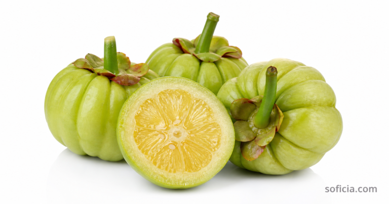 garcinia cambogia